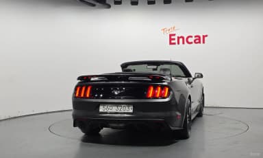 Mustang
