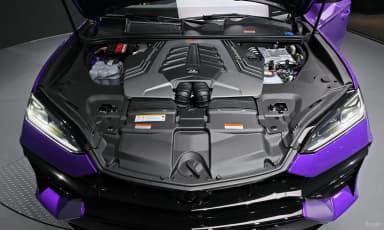 Urus