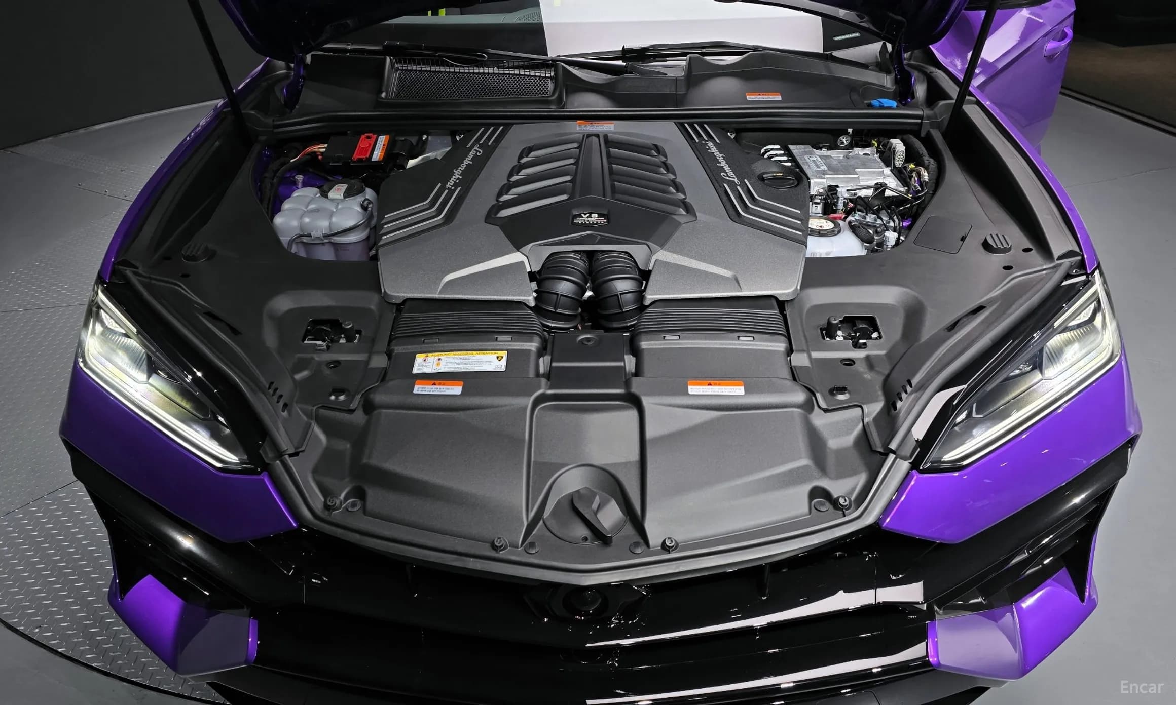 Urus