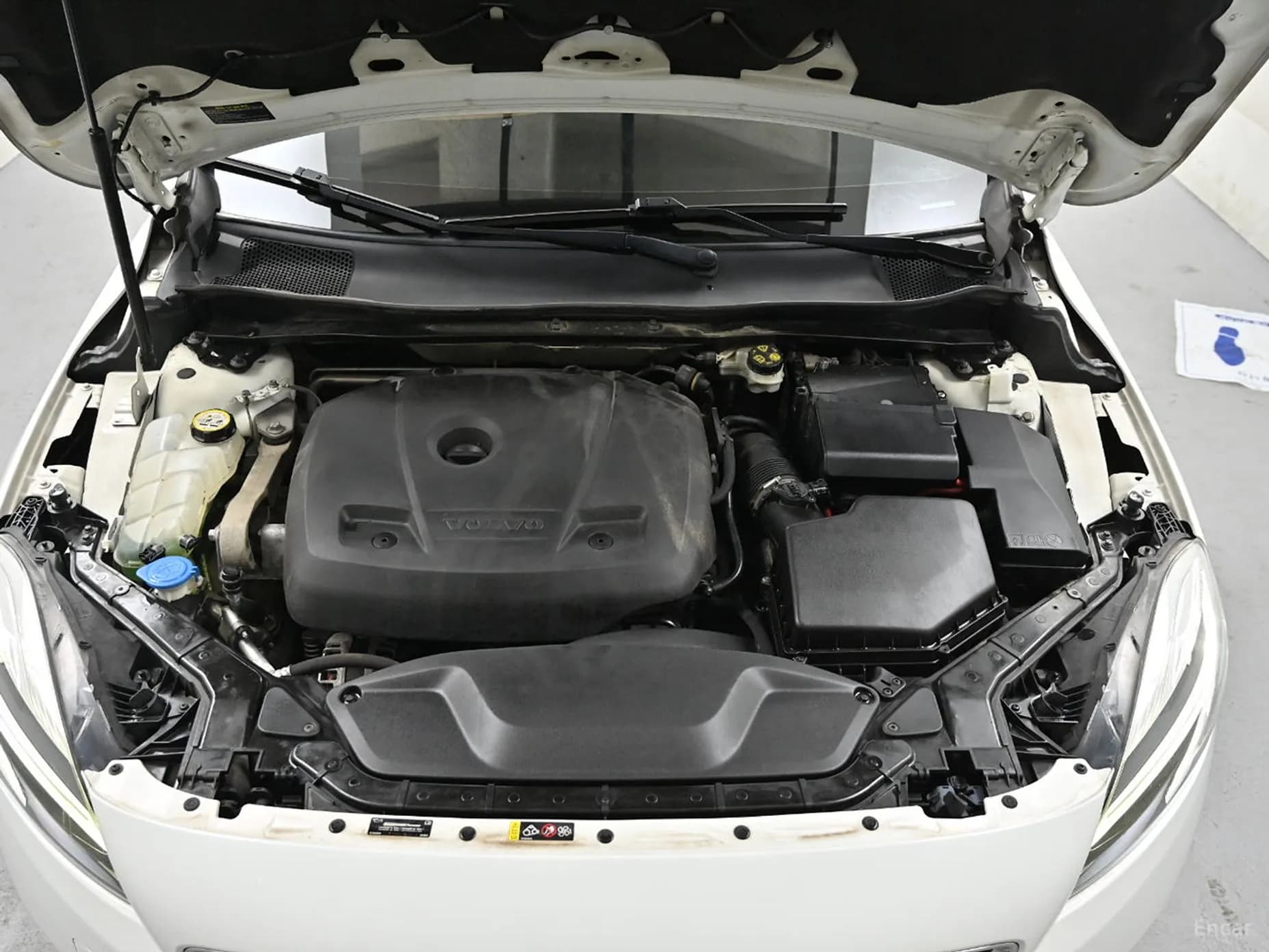 V40