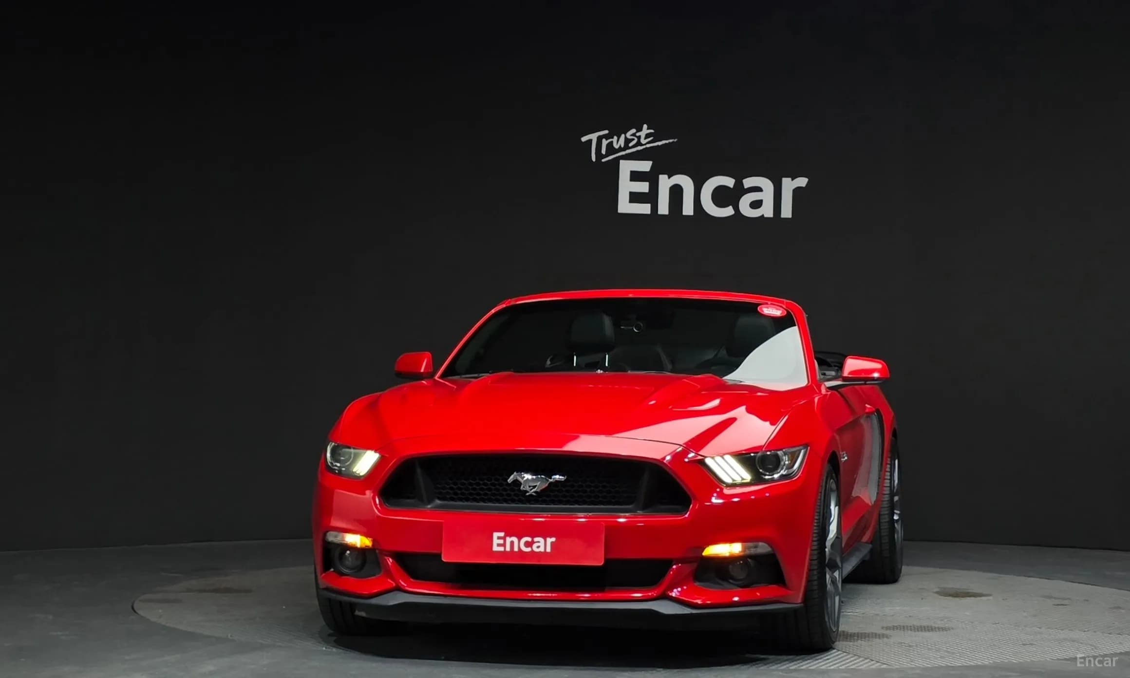 Mustang