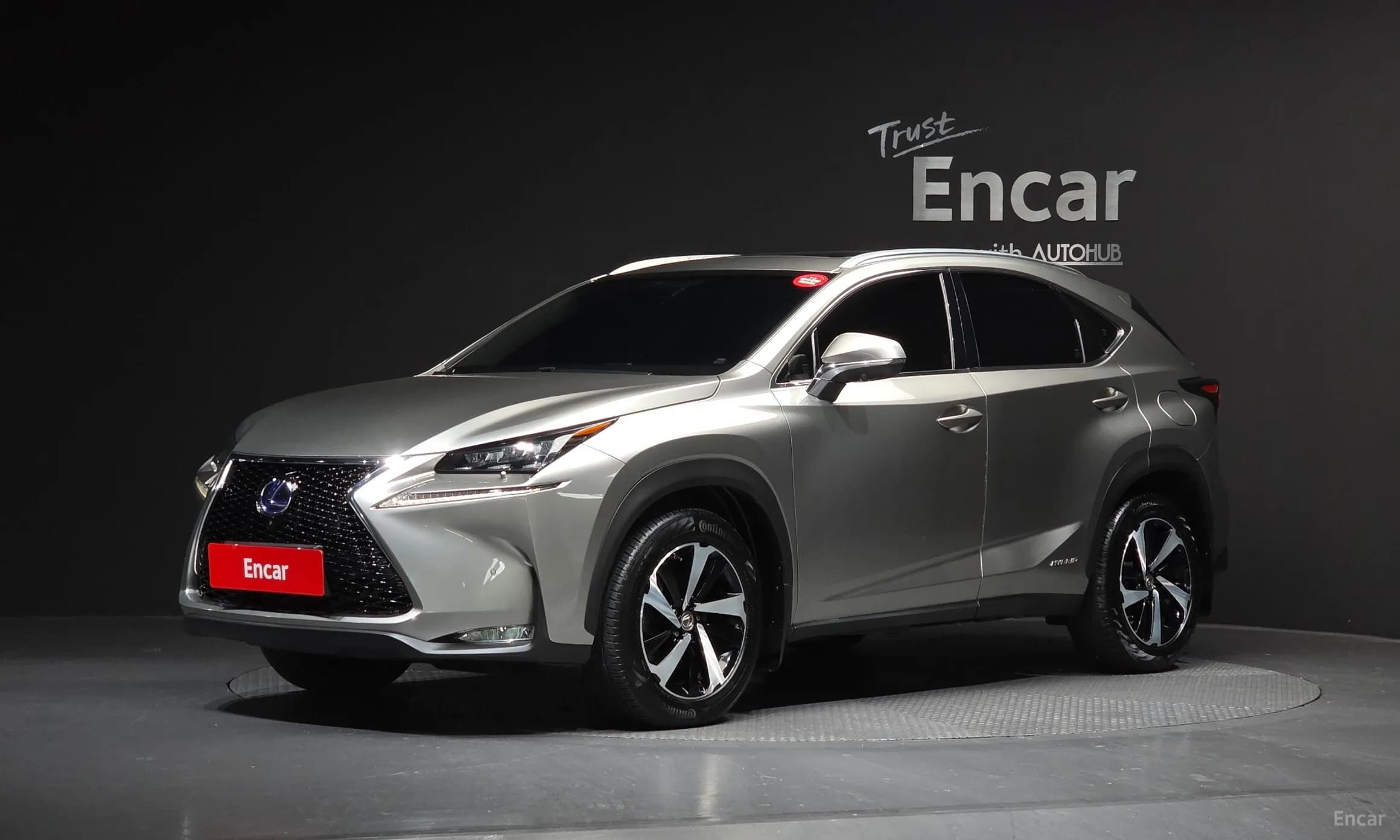 NX300h