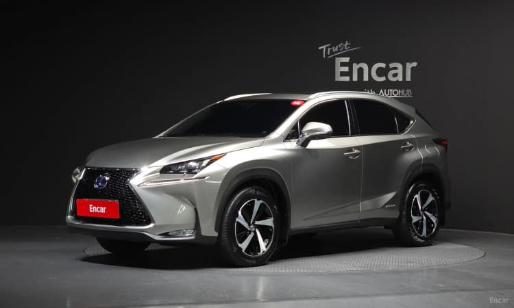 NX300h