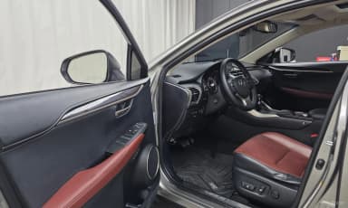 NX300h