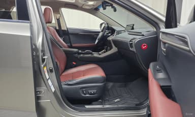 NX300h