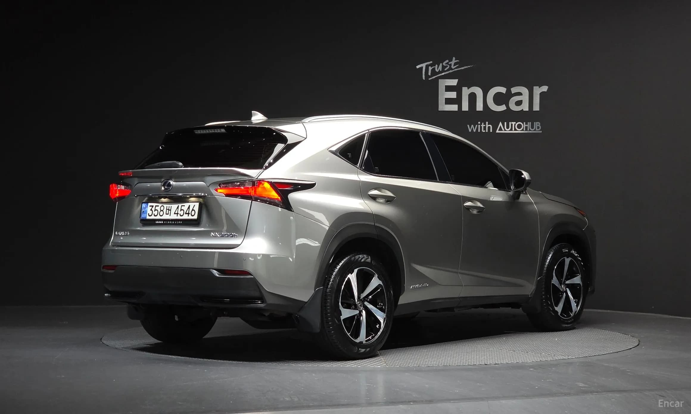 NX300h