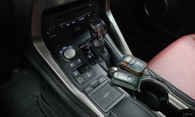 NX300h