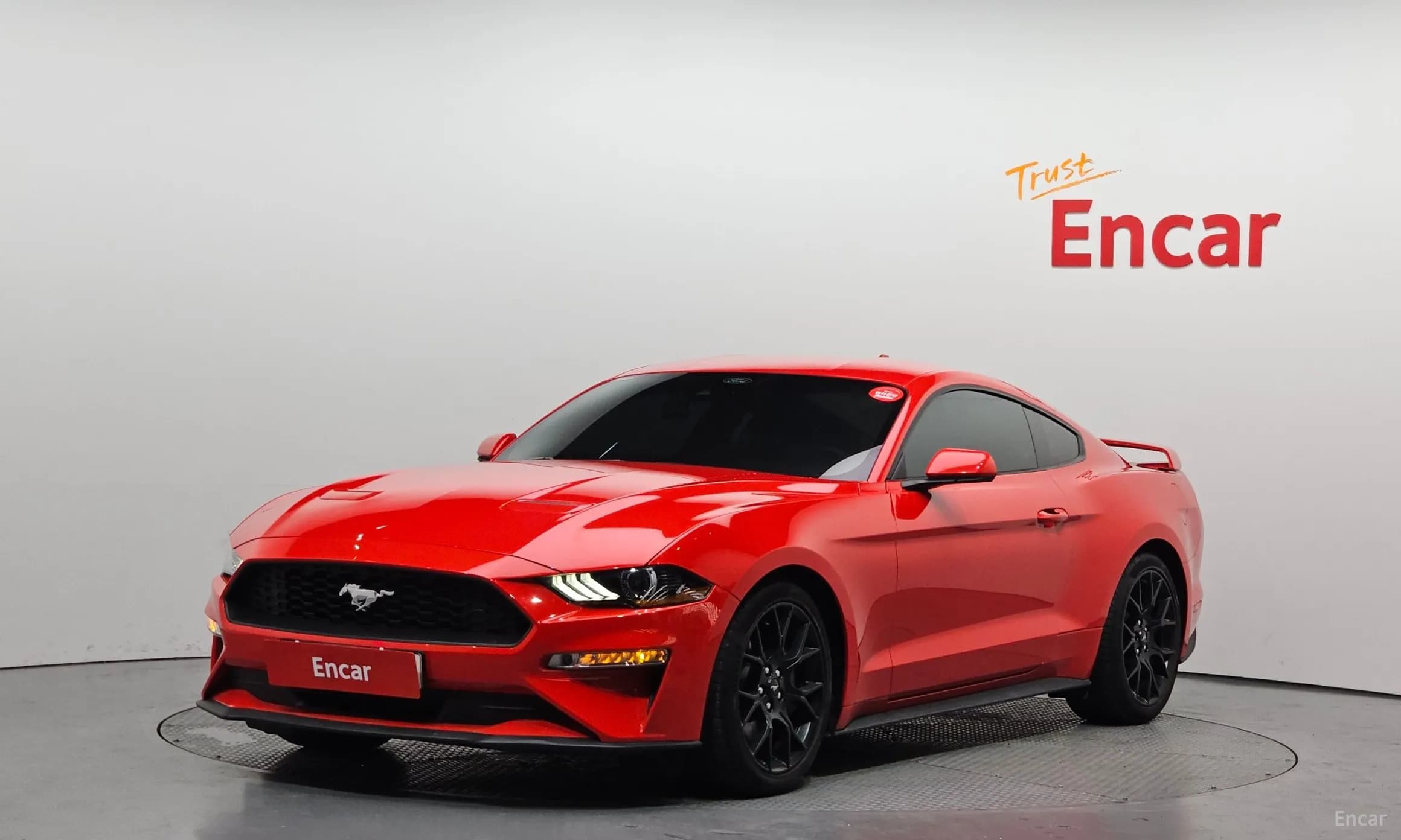 Mustang