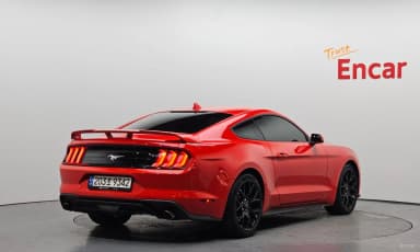 Mustang