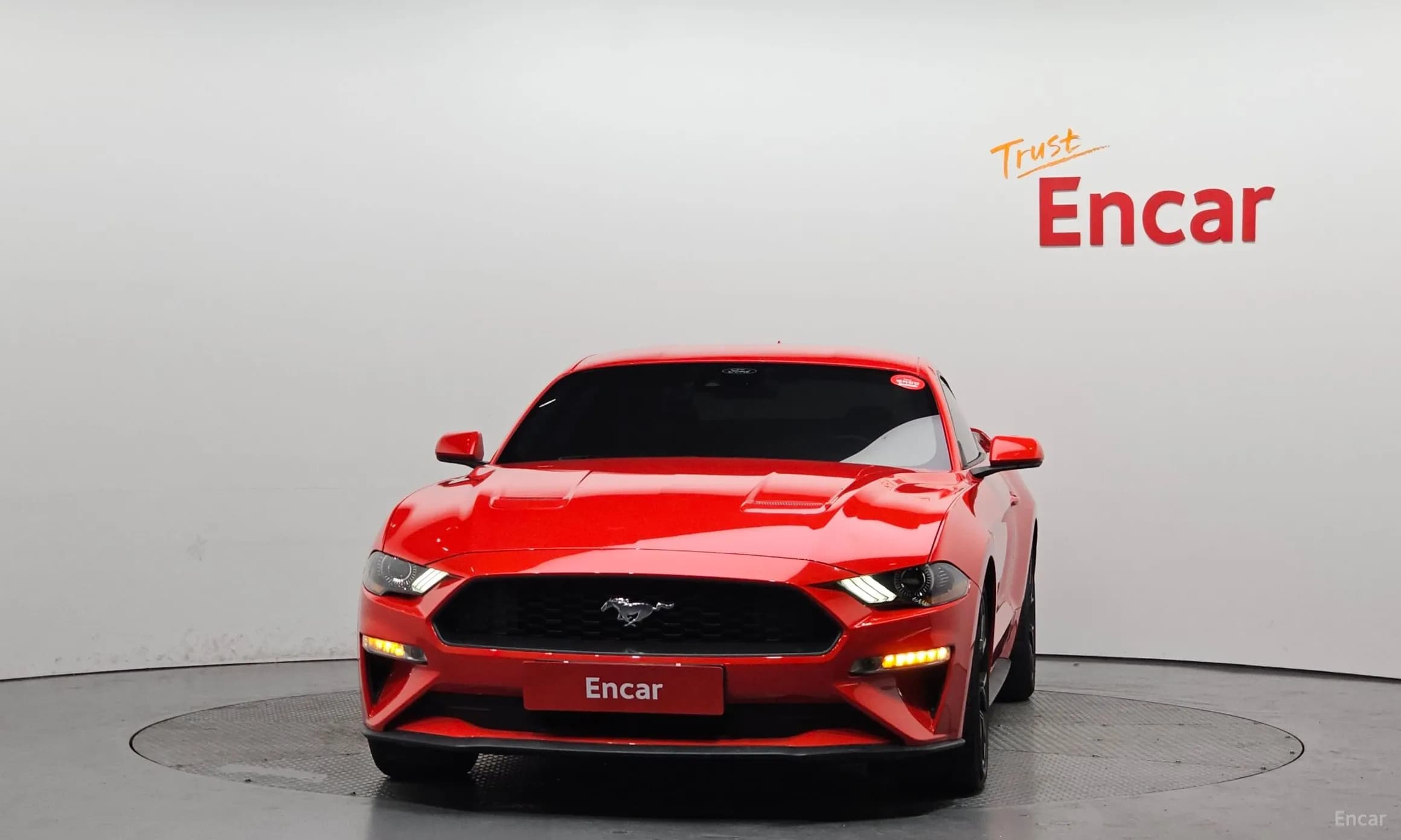 Mustang