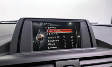 1 Series (F20)