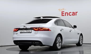 XF (x260)