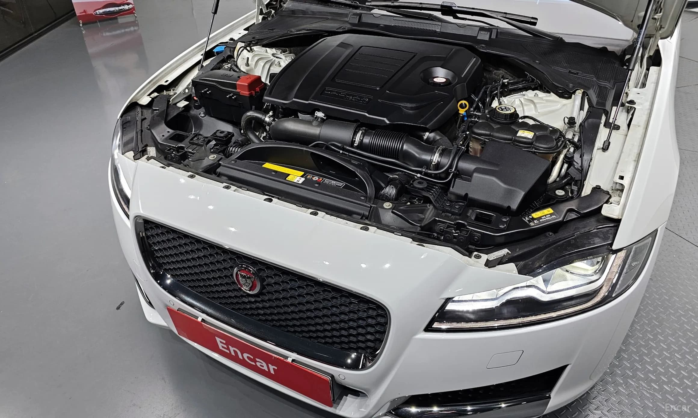 XF (x260)
