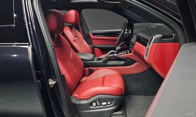 Cayenne (PO536)