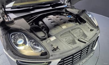 Macan