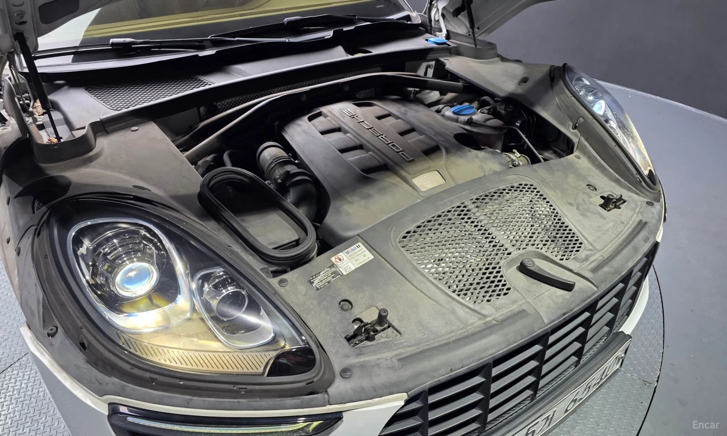 Macan