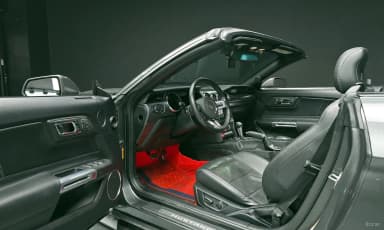Mustang