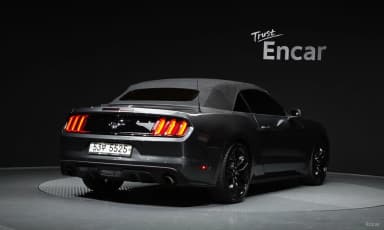 Mustang