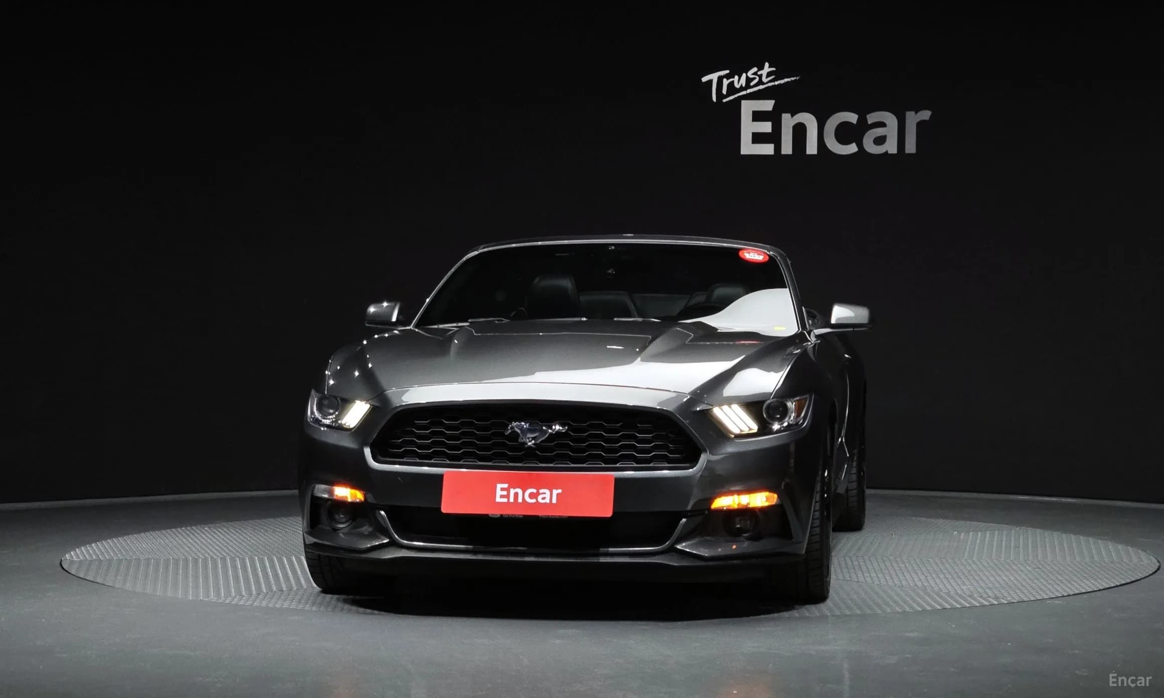Mustang