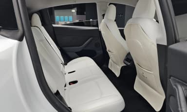 Model Y