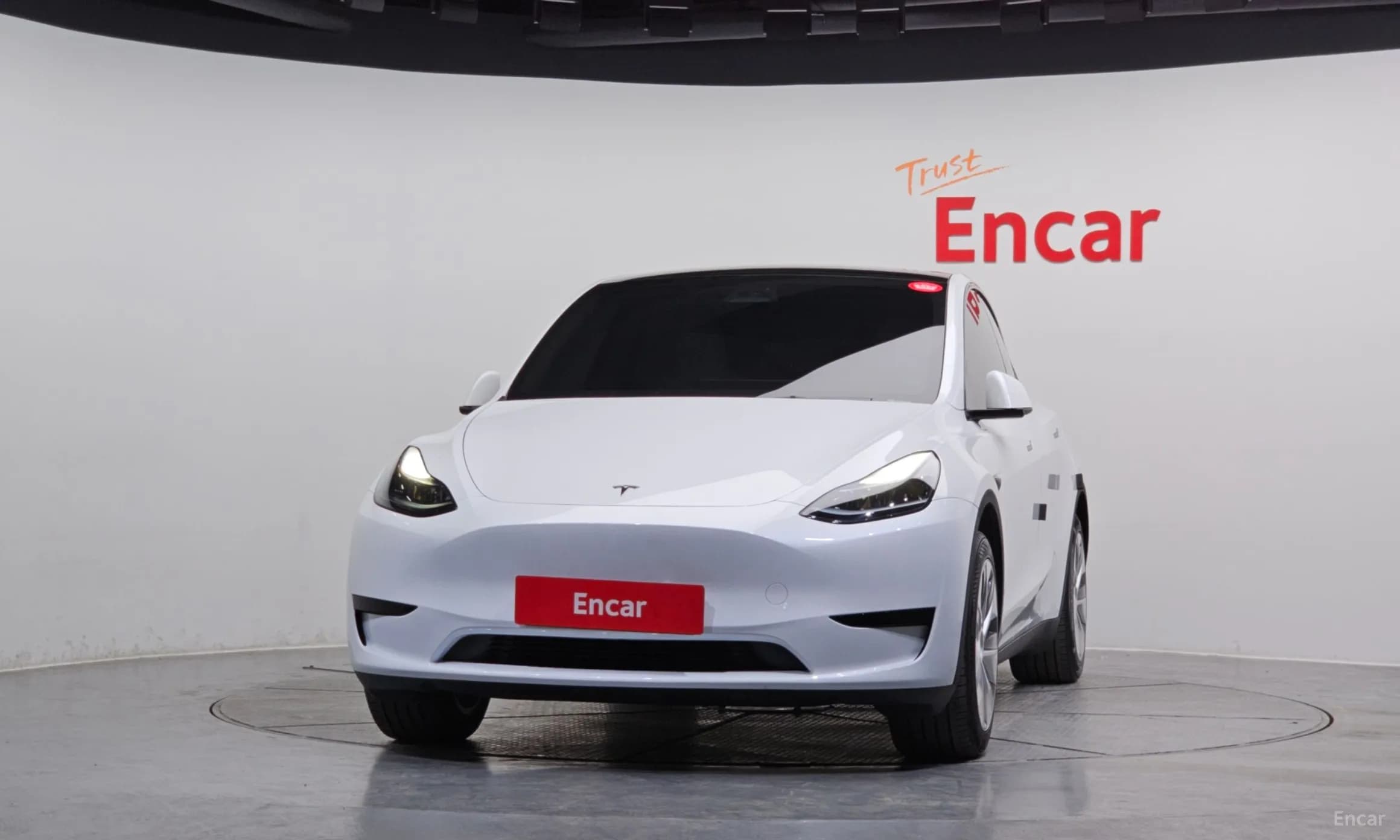 Model Y