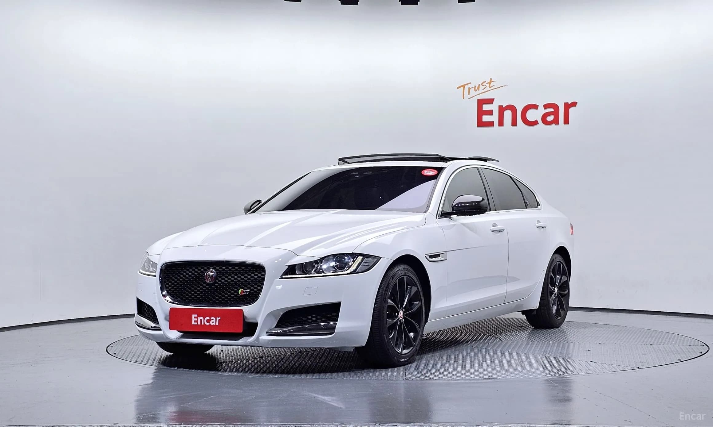 XF (x260)