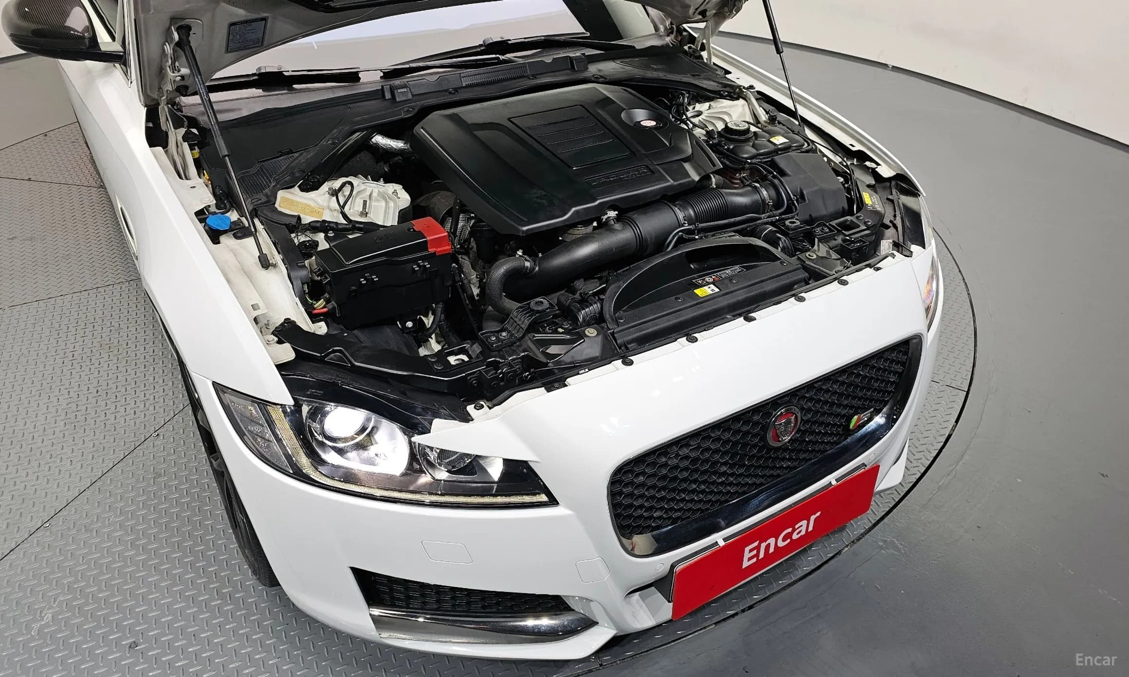 XF (x260)