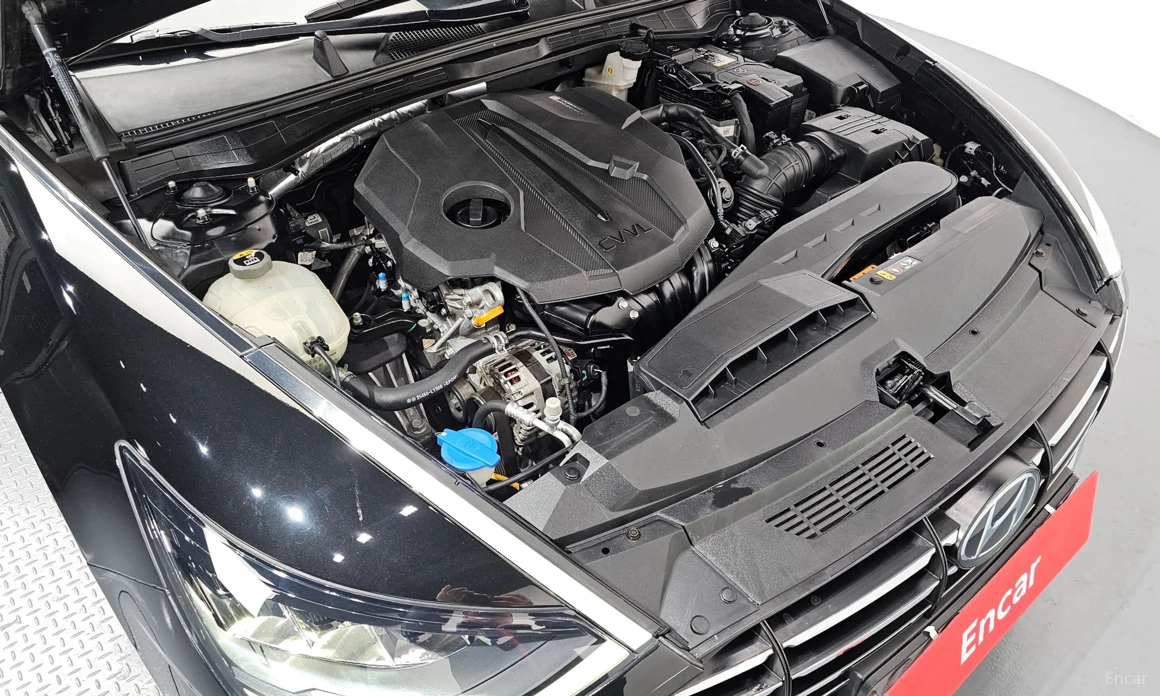 Sonata (DN8)