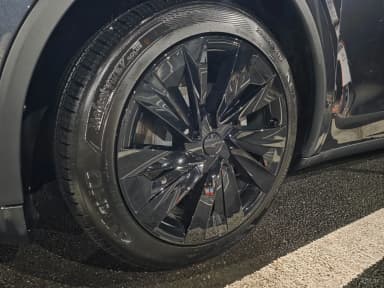 Model Y