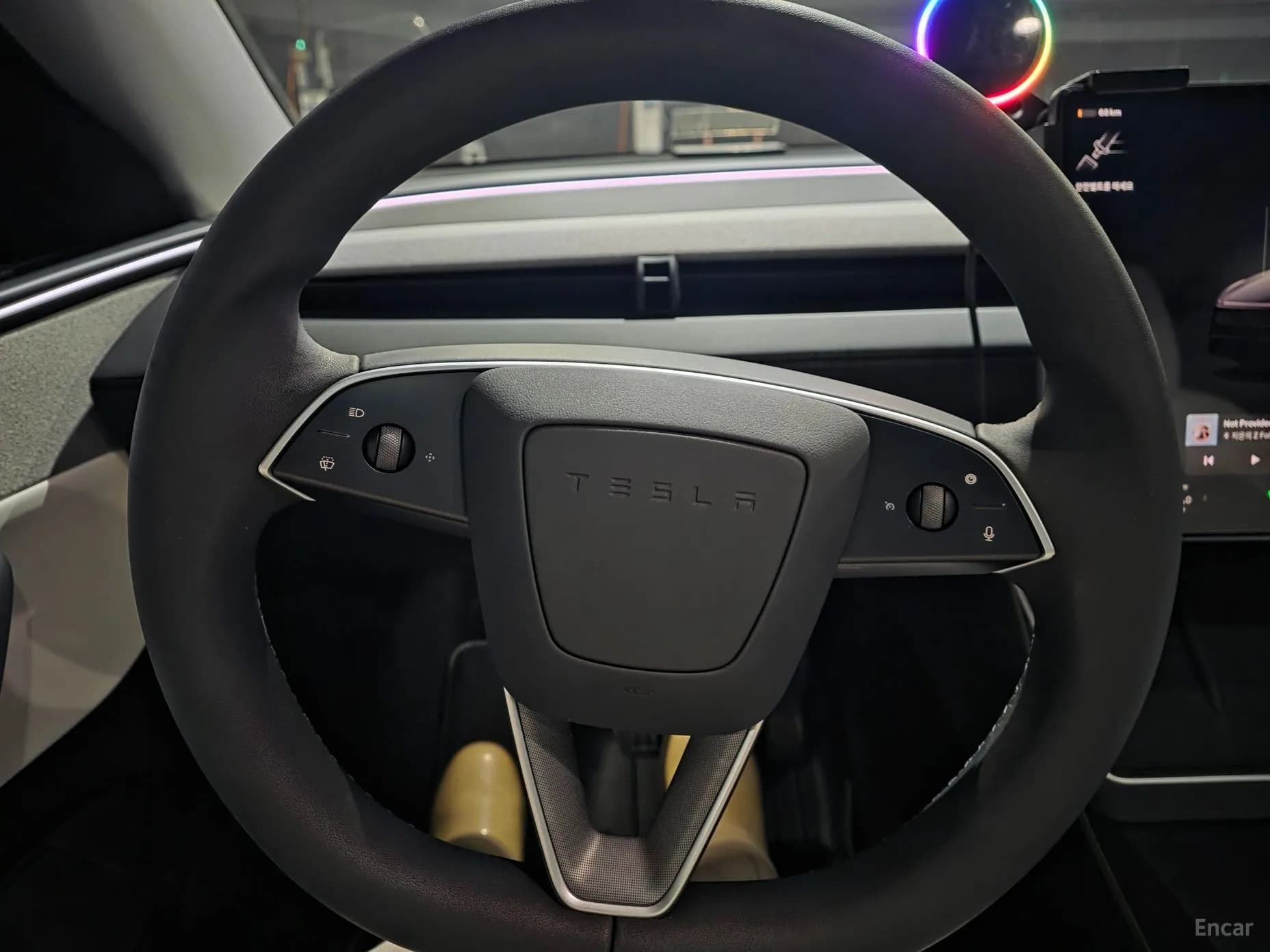 Model Y