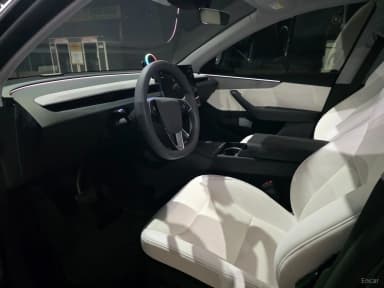Model Y