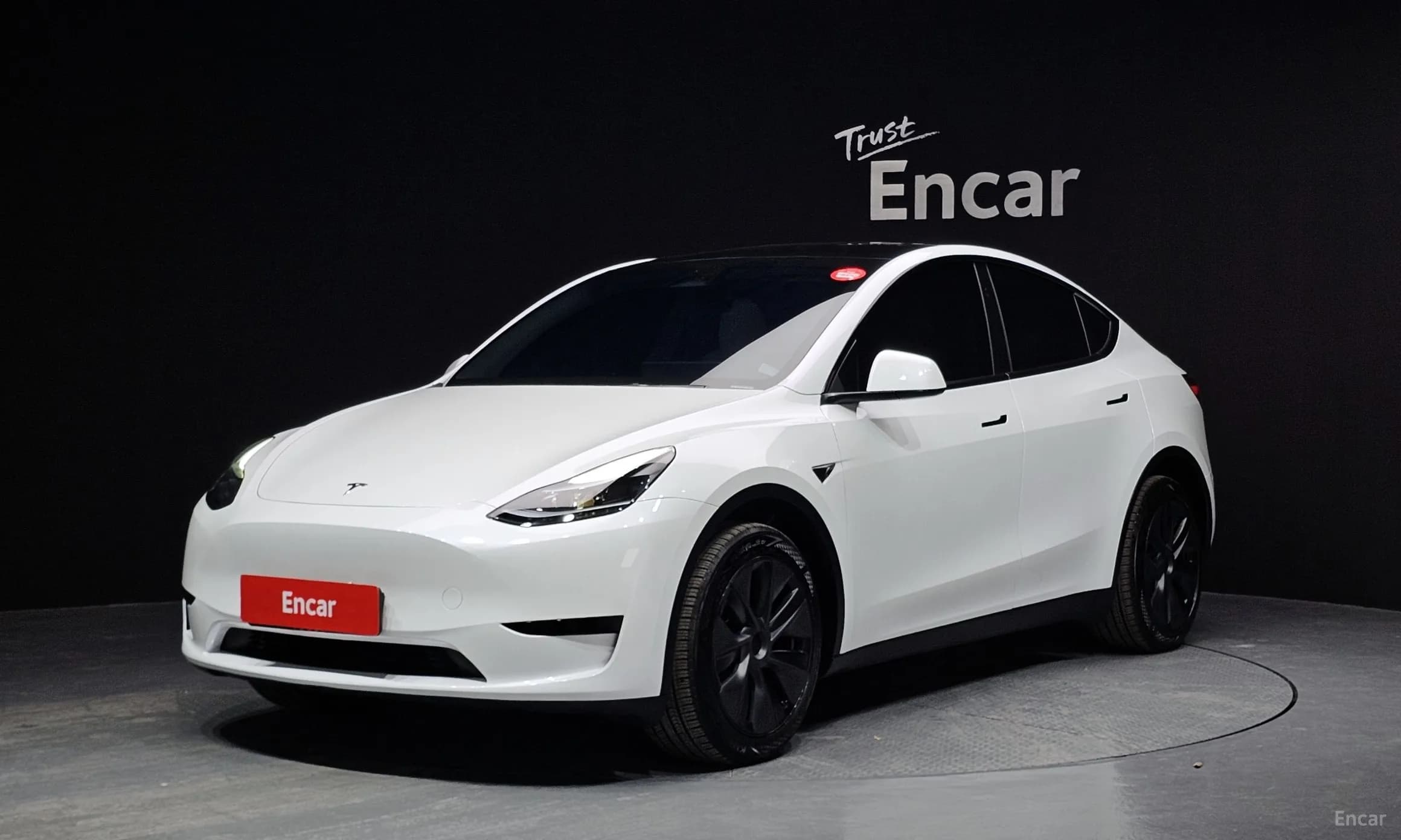 Model Y