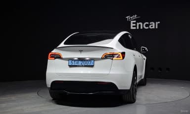 Model Y