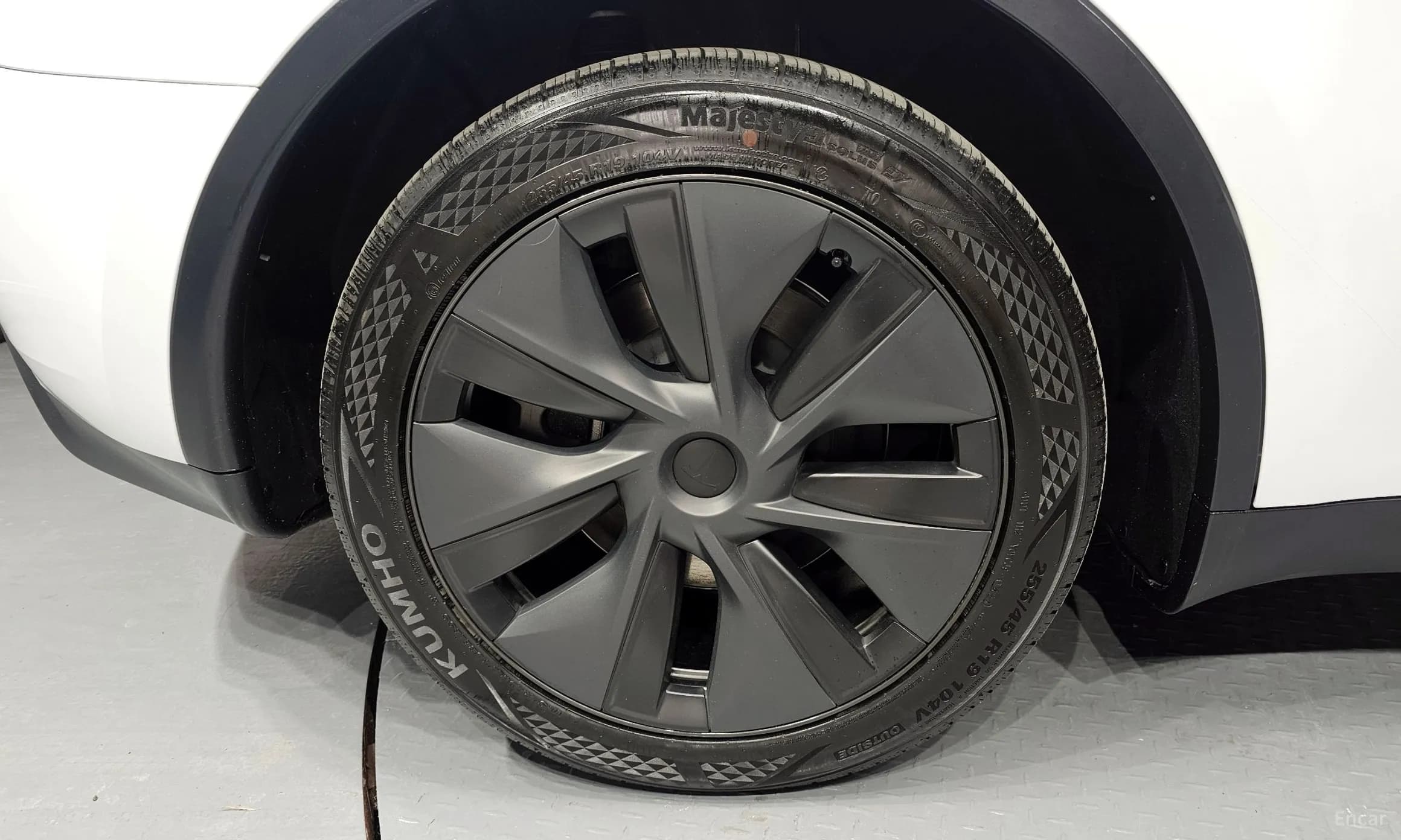 Model Y