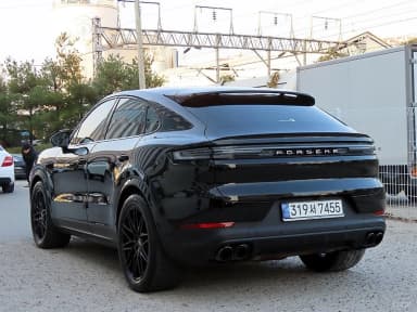Cayenne (PO536)