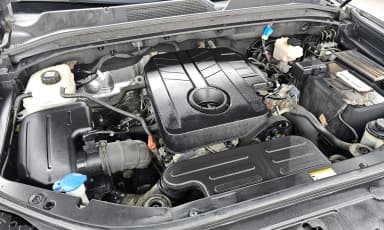 Rexton Sports