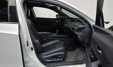 UX250h