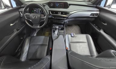 UX250h