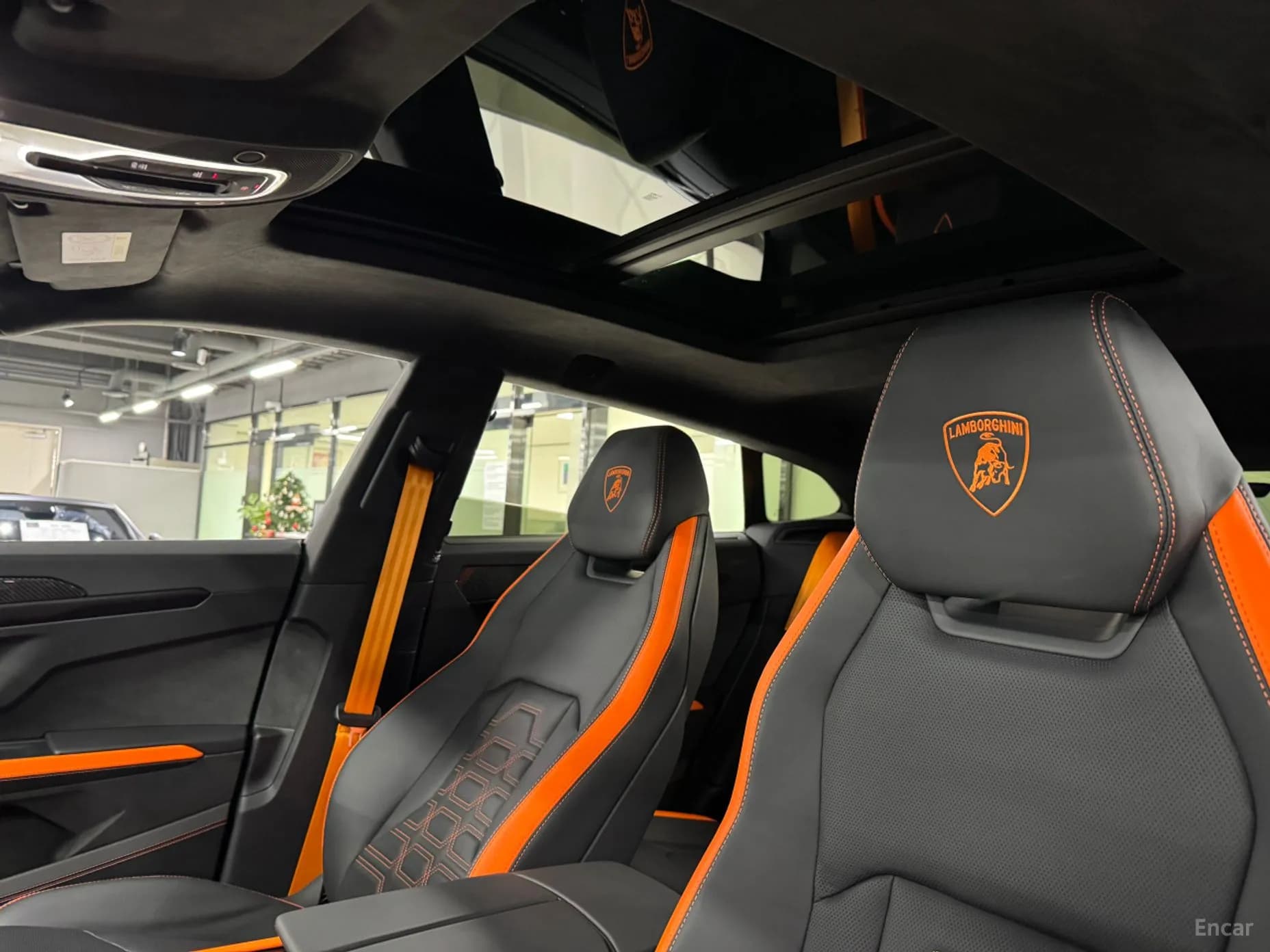 Urus