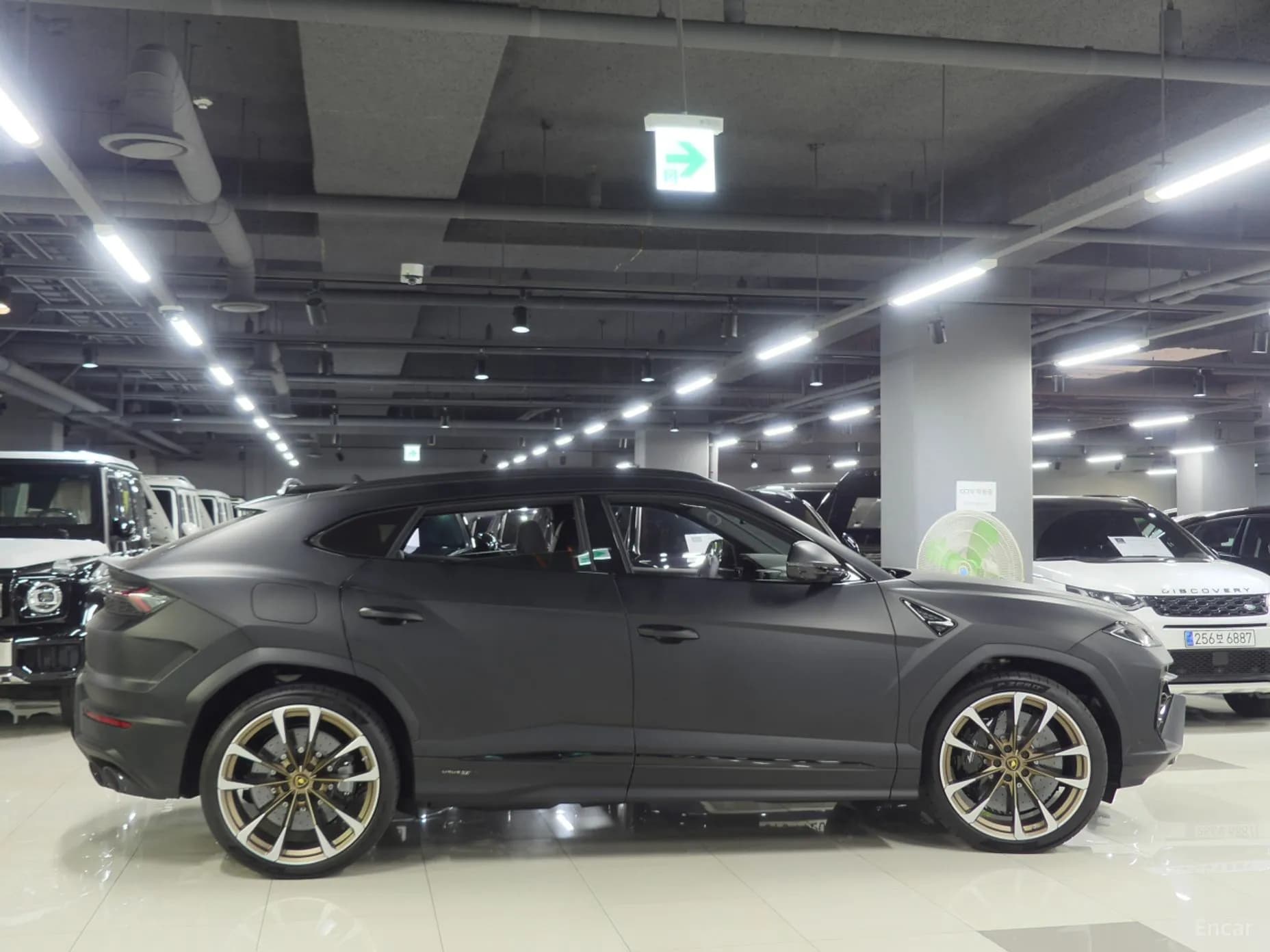 Urus