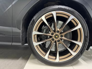 Urus