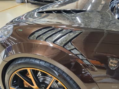 Panamera (971)