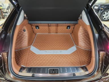 Panamera (971)