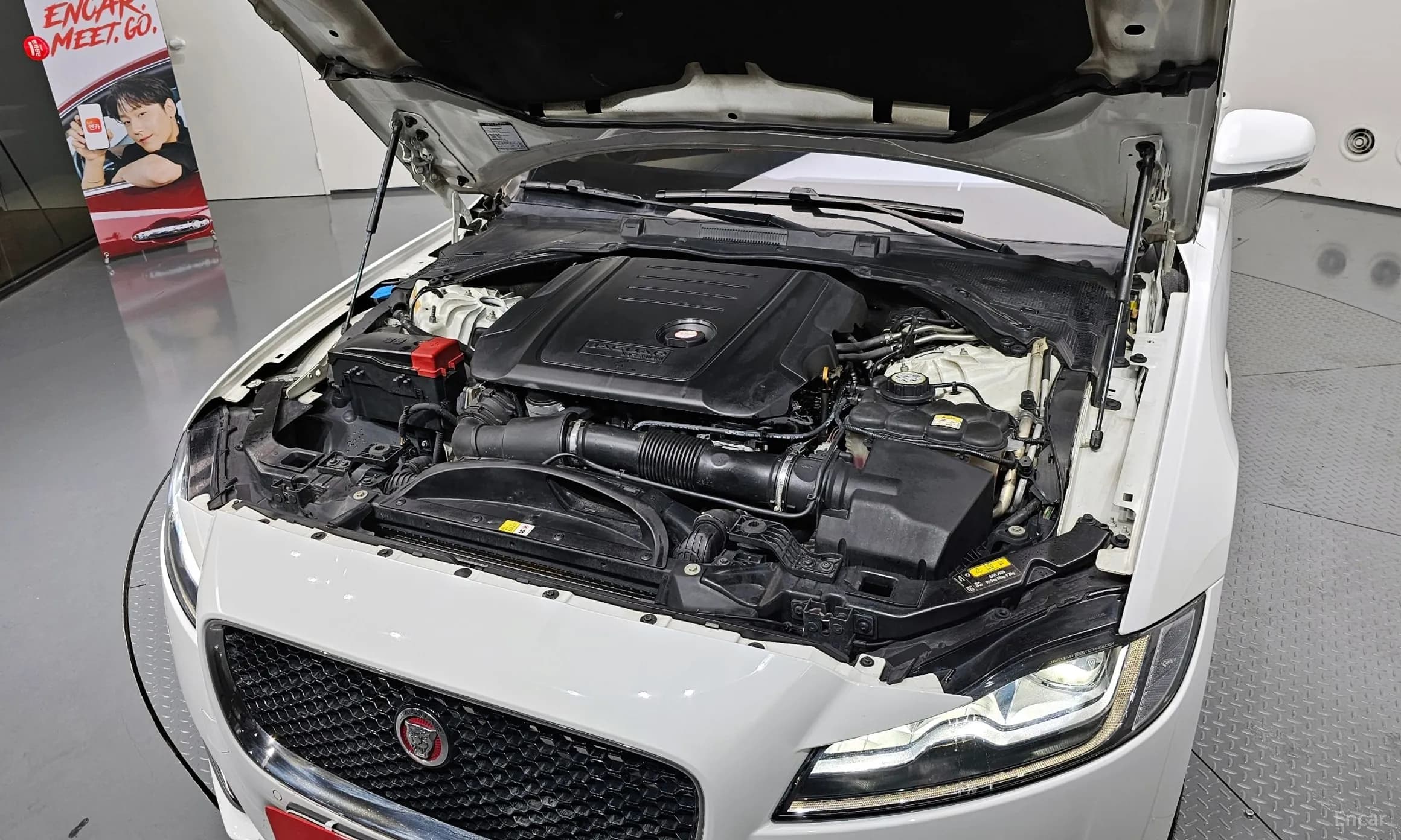 XF (x260)