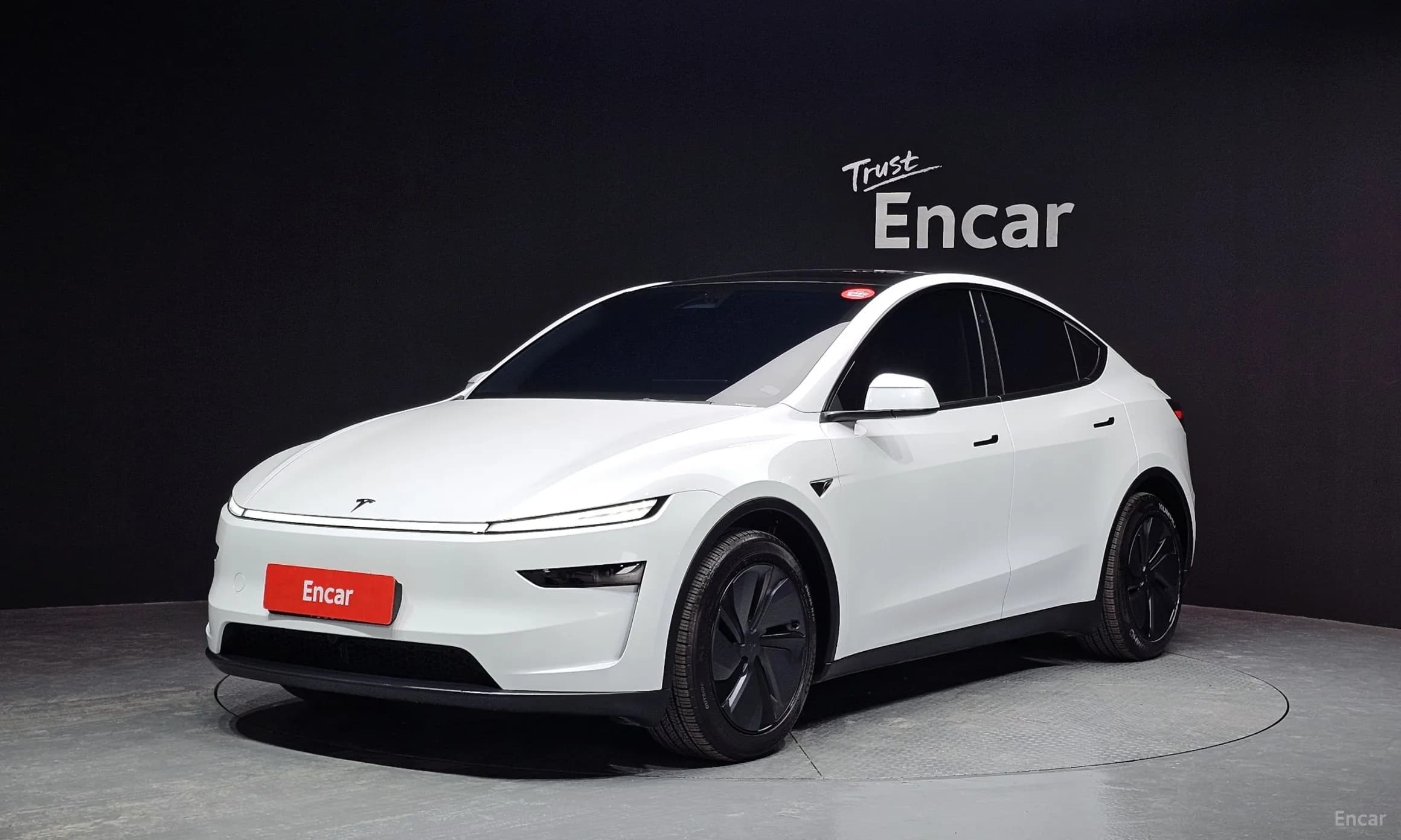 Model Y