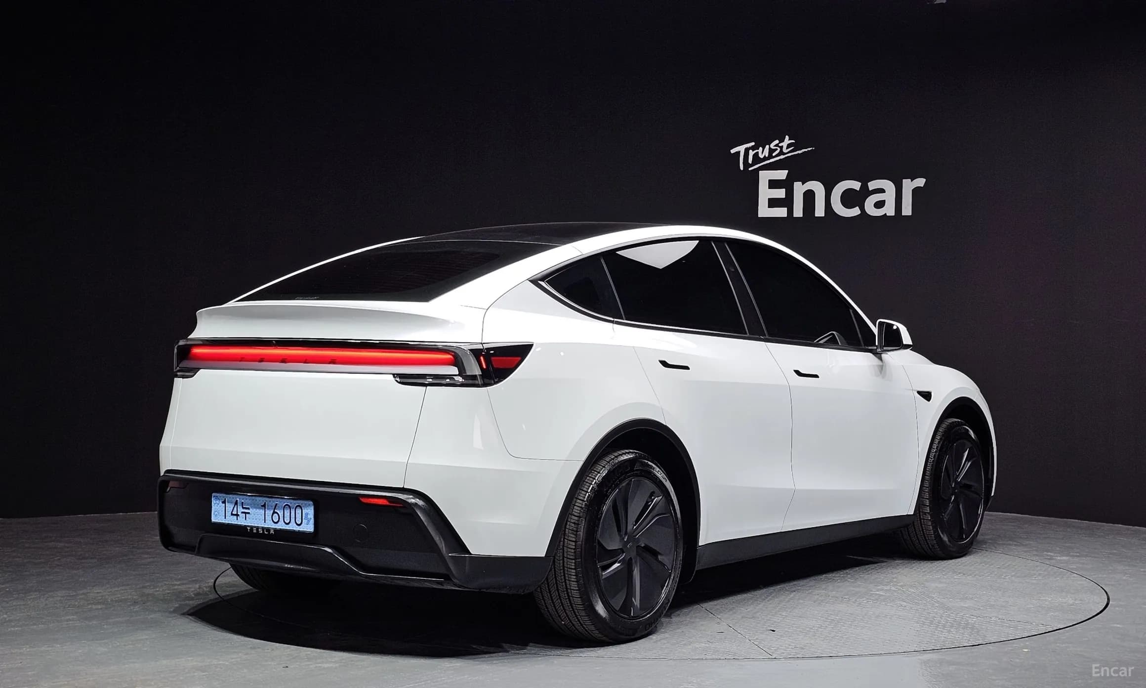 Model Y