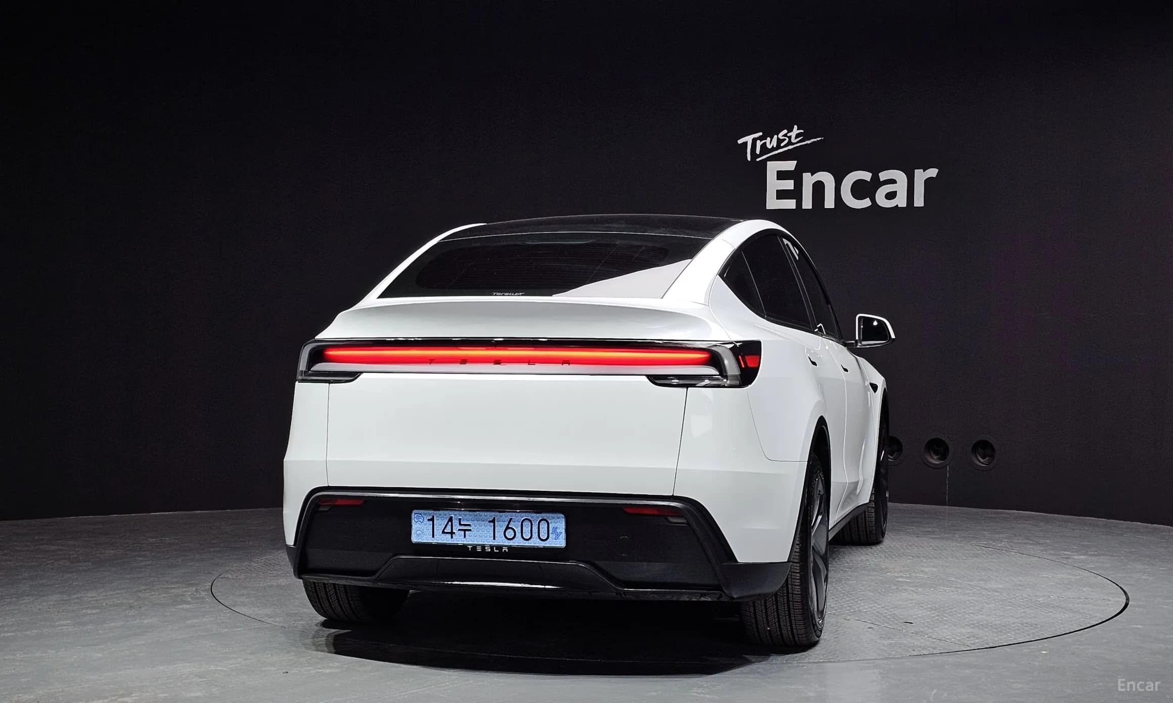 Model Y