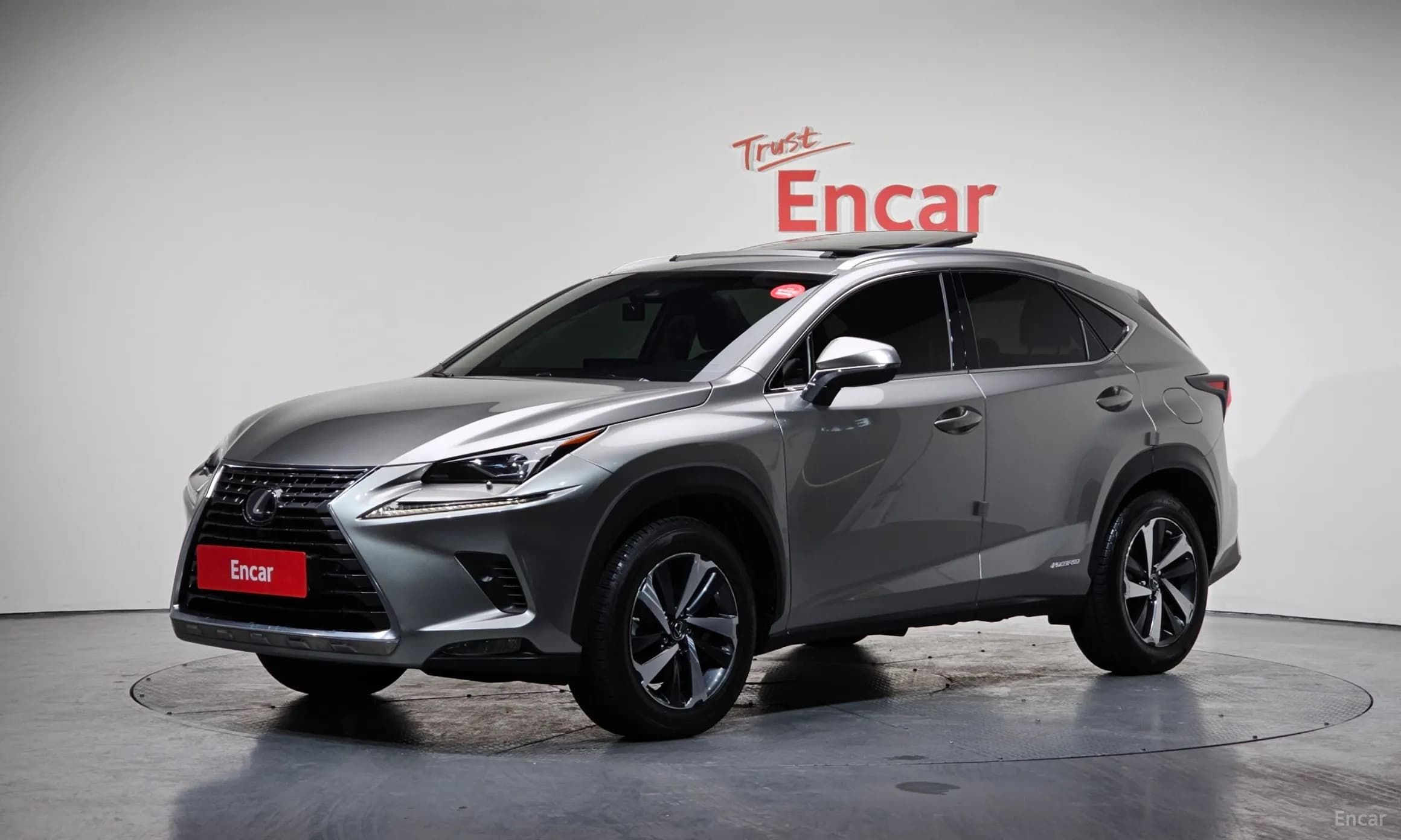 NX300h
