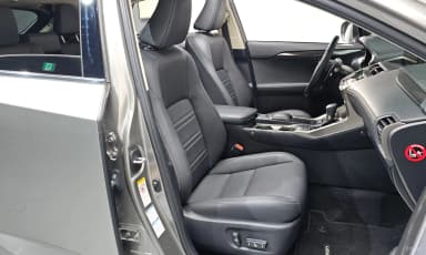 NX300h