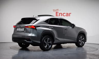 NX300h